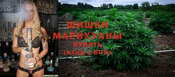 spice Козловка