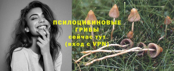 прущая мука Корсаков