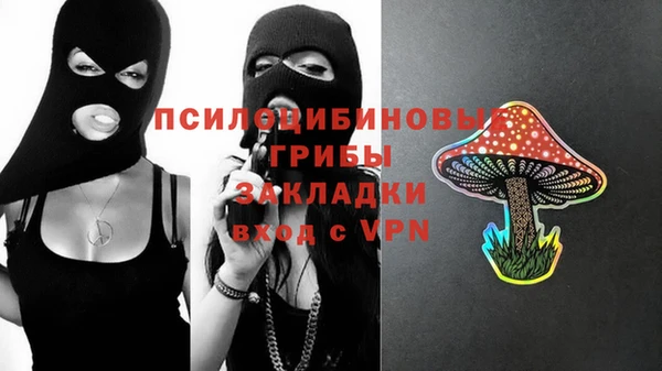 spice Козловка