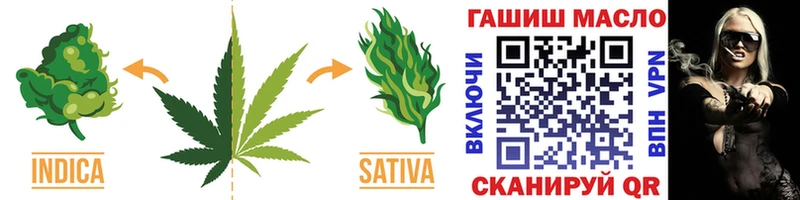 Купить закладки  Жирновск  ТГК THC oil 